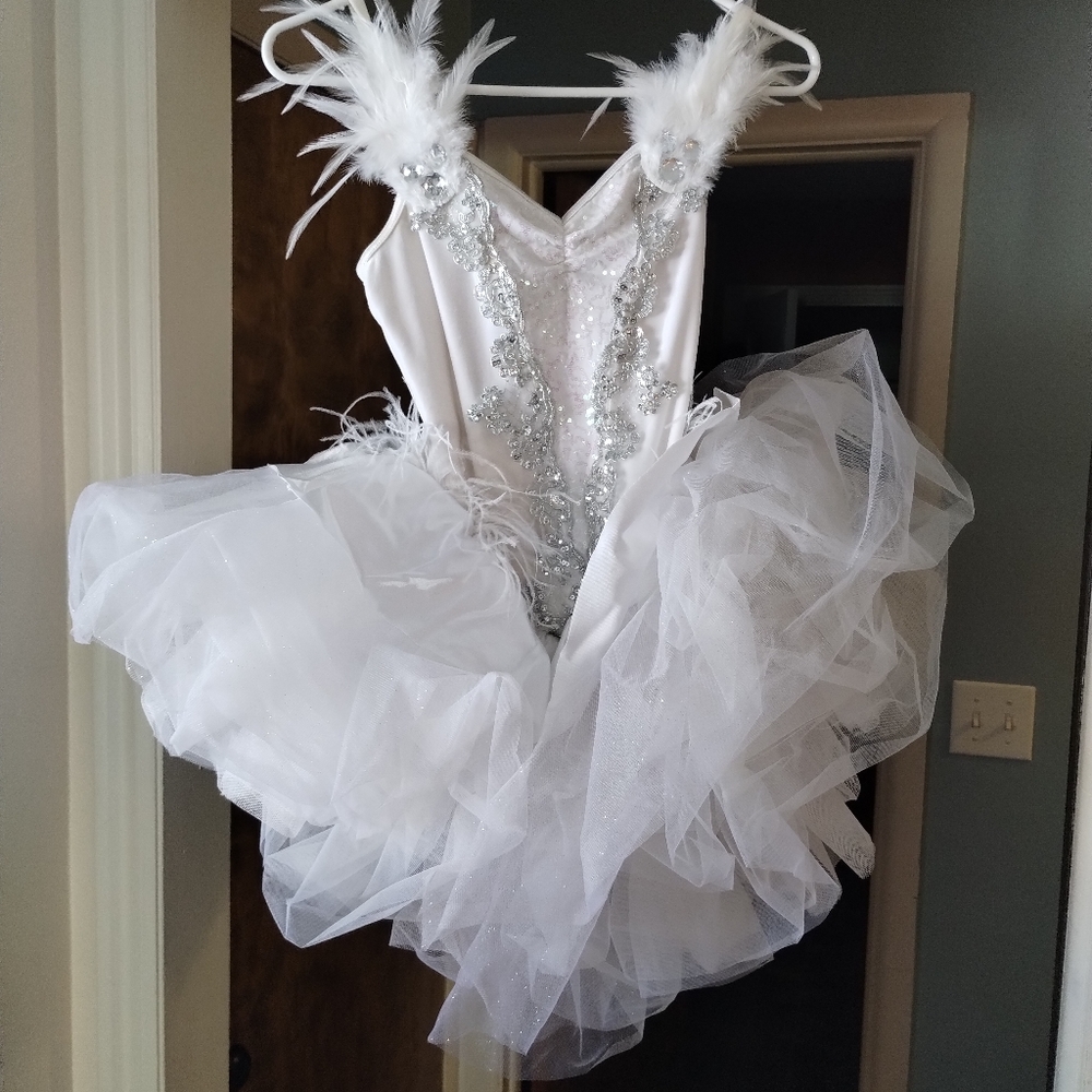 Women's Ballet Costume, Size Adult Women's Small